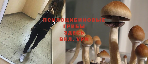 mdpv Балахна